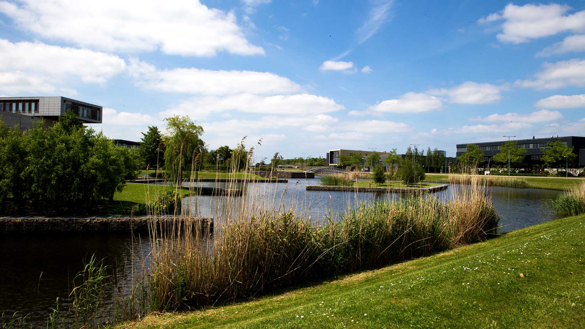 Weinig leegstand op Businesspark Nieuw-Vennep Zuid